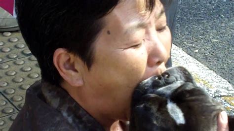 asian sucks dog|Japan Beastiality and Asian Animal Porn